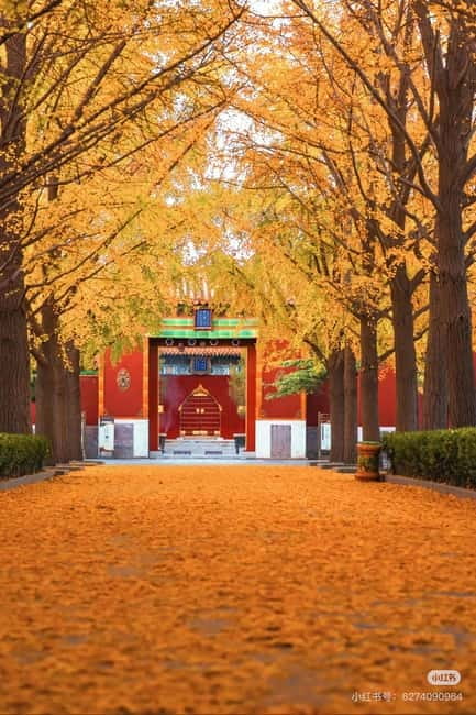 Beijing: Yonghe Lama Temple Tickets with guide (optional) - Getting there from Metro Line 5 without stress