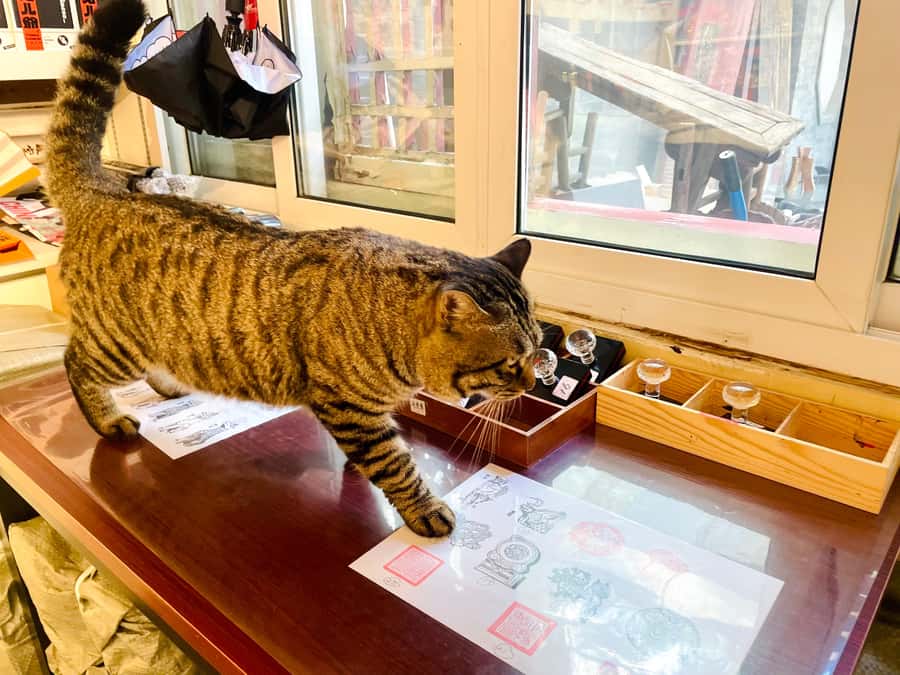 Bite and Stroll: Brunch Tour in Old Town Beijing! - What Makes This Tour Feel Local (Not Tourist-Stagey)