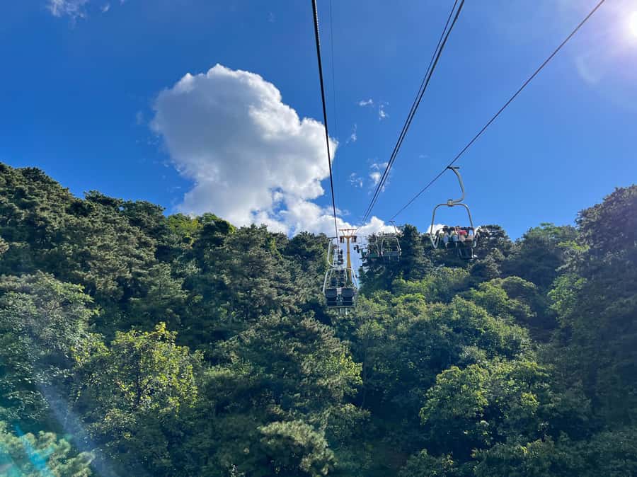 Forbidden City & Mutianyu Great Wall Small Group Day Tour - Mutianyu Great Wall: Less Crowded Views and Your Climb Choices