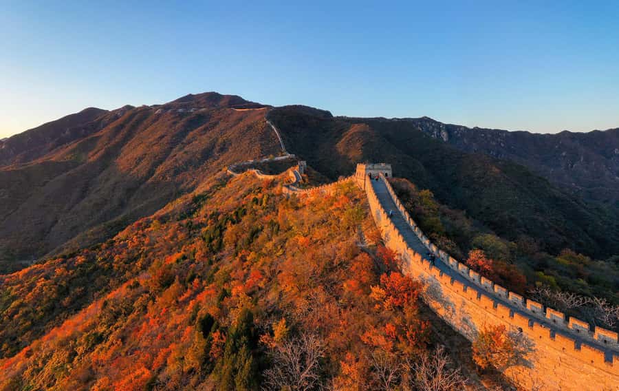 Forbidden City & Mutianyu Great Wall Small Group Day Tour - The No Shopping, No Detour Promise (and Why It’s a Big Deal)