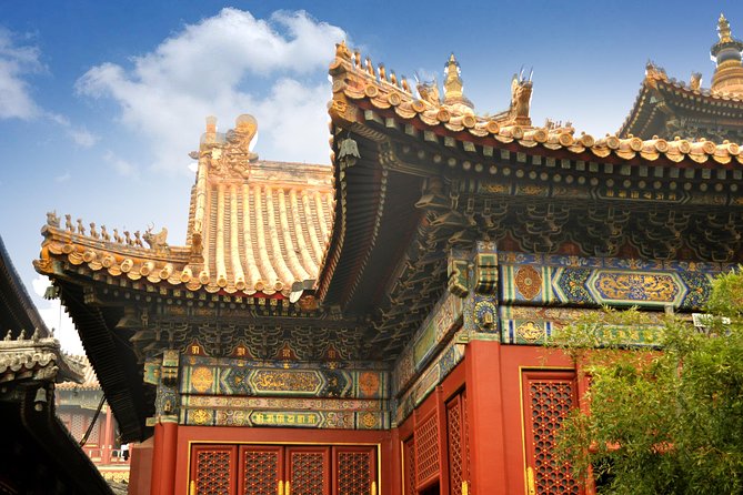 Full-Day Beijing City Tour: Hutongs, Lama Temple and Panda House - A well-paced Beijing hit: temple, alleyways, pandas, and Olympic photos