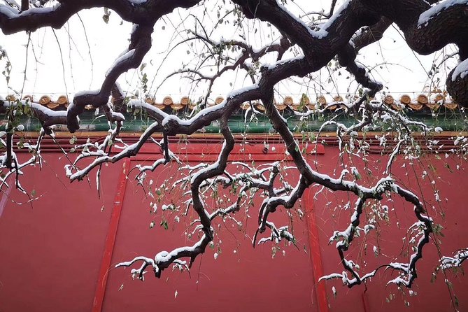 Half Day Beijing Group Tour to Tiananmen Square and Forbidden City - What This Tour Is Really Good At (And Who It Helps Most)