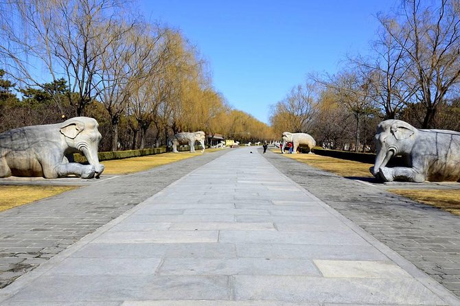 Huanghuacheng Great Wall & Ming Tombs w/ Sacred Way Private Tour - Sacred Way on the Ming Tombs complex: the classic photo line
