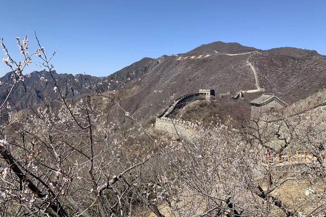 Layover Trip to Great Wall with English Driver in Beijing - Pickup at Capital Airport: how the meeting usually works