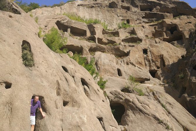 Longqingxia Gorge Cruise and Guyaju Cave Dwellings Private Day Tour - Who should book this day tour?
