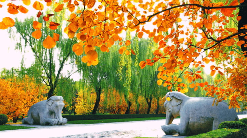 Ming Tombs Admission Ticket - Getting Between the Tombs: Where Your Time Can Get Eaten