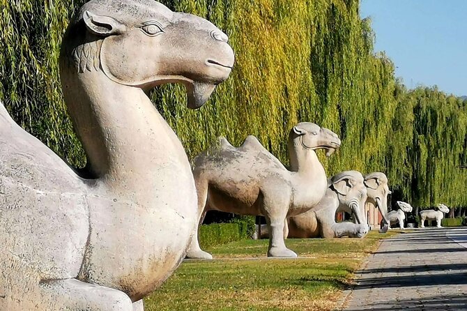 Ming Tombs Entrance Ticket with Optional Guided &Transfer Service - Sacred Way to Changling: what you’ll actually see on the approach