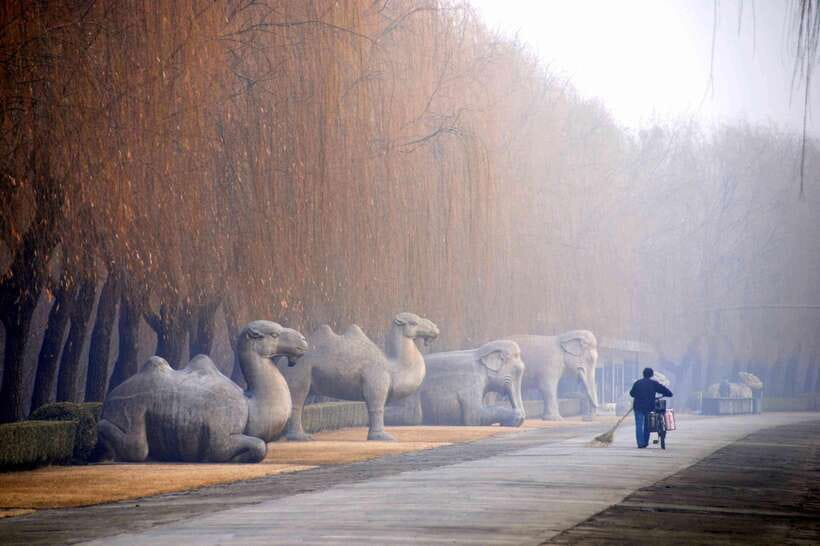 Ming Tombs Private Tour: Sacred Road, Dingling and Changling - Bird’s Nest and Water Cube: A Quick Modern Detour