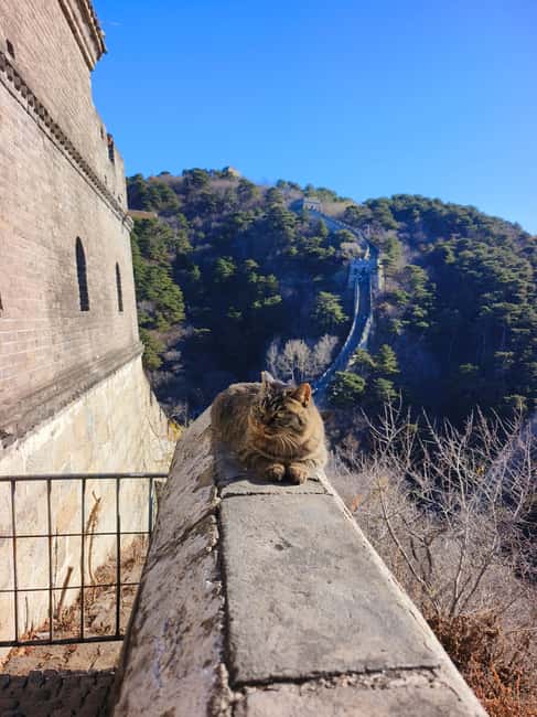 Mutianyu Great Wall Private Tour with English Driver - Food, Breaks, and the Real Pace of a Private Day