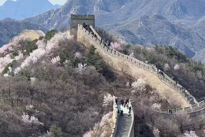 Mutianyu Great Wall Small Group Tour from Beijing with Guide - Wayne’s Help on the Day: Tickets, Photos, and Food Runs