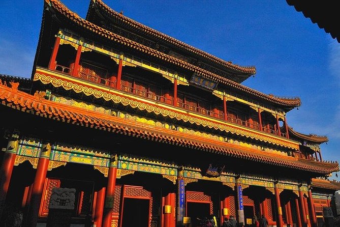 Panda House, Temple of Heaven, Lama Temple, Summer Palace & Lunch - Panda House (Xicheng District): your best shot at a cute panda moment