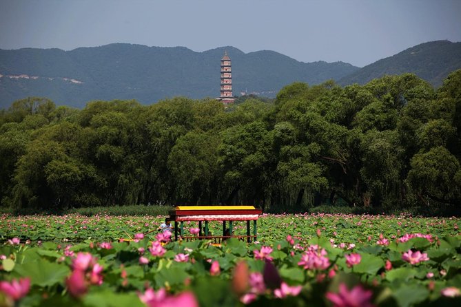 Private Day Tour: Summer Palace and Old Summer Palace in Beijing - Shifting Gears to the Old Summer Palace Ruins at Yuanmingyuan
