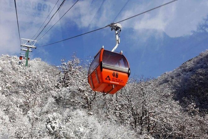 Private Day Tour to Beijing Mutianyu Great Wall - Tea shop breaks and local touches you might get