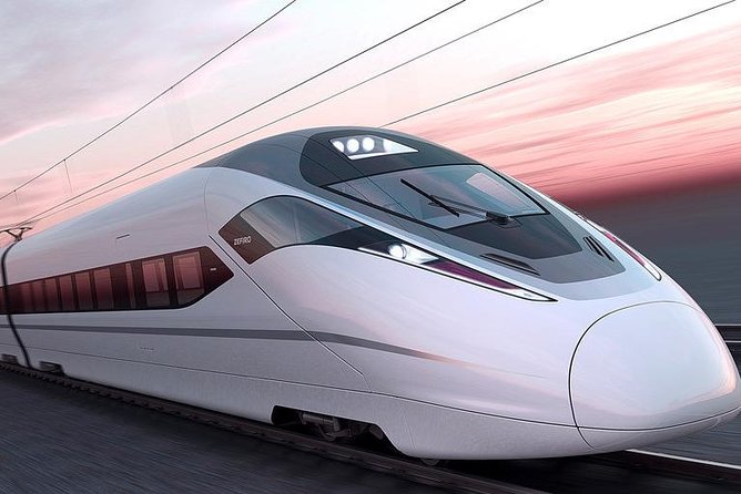 Private Day Trip: Discover Tianjin by Bullet Train from Beijing - Private Guide Payoff: Getting Answers and Avoiding Station Chaos