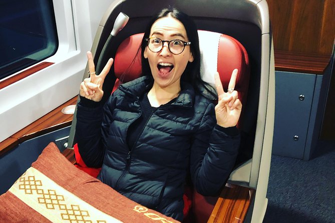 Private Day Trip to Terracotta Army from Beijing by Bullet Train - The return to Beijing: no wandering, just get on the train