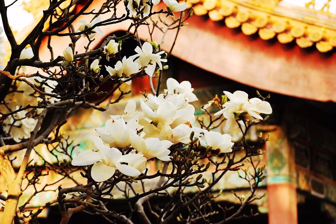 Private Flexible Beijing City In-Depth Walking Tour w/ Your Fancy - Tiananmen Square: start here to get your bearings