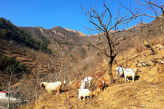 Private Great Wall Hiking Tour: Across The Border of 3 China Provinces - Getting onto the wall: a short climb to older stone