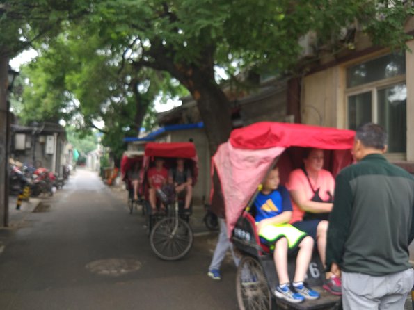 Private Hutong Culture Tour with Dumpling Cooking Class plus Cricket Fighting Game - A morning that strings together old Beijing, from temples to the dinner table