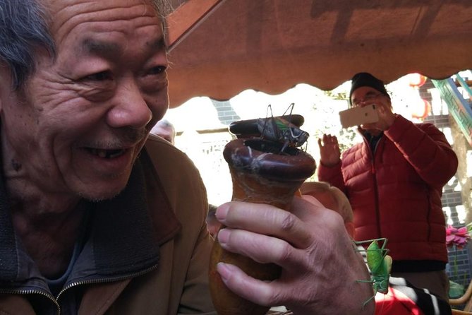 Private Hutong Culture Tour with Dumpling Cooking Class plus Cricket Fighting Game - Confucius Temple and Guozijian: trees, steles, and a learning mindset