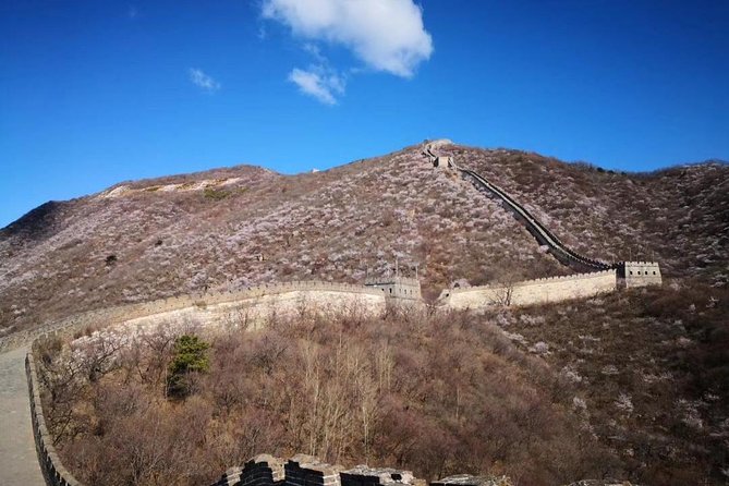 Private Layover Tour to Mutianyu Great Wall and Forbidden City - Forbidden City (Palace Museum): what a 2-hour walk can realistically cover