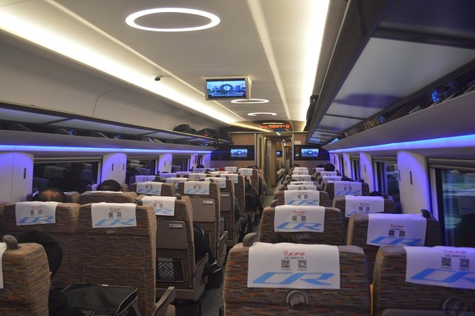 Private Tianjin Port Departure Transfer from Beijing by Bullet Train Experience - Seats and Value: 1st Class vs Biz Class for a Cruise-Day Transfer