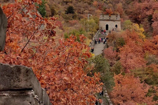 Private Tour: Forbidden City and Mutianyu Great Wall with Cable Car or Toboggan - Forbidden City VIP entry: walking the palace’s big center line