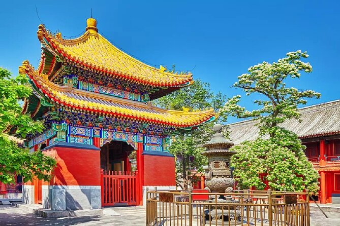 Private Tour to Lama Temple, Tian'anmen Square and Forbidden City - Key things to know before you go