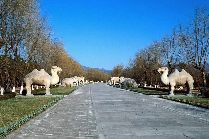 Private Tour to Mutianyu Great Wall and Ming Tombs - English guide pacing: the day feels smoother with a pro