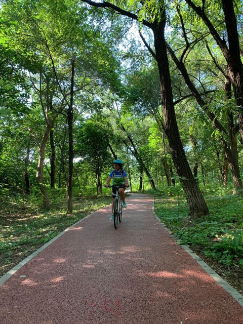 Riverside Cycling With A Native - A 20km Riverside Ride With a Quiet, Phone-Light Rhythm