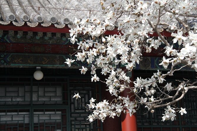 Summer Palace Ticket with optional Guided Tour - The Route: Four Stops That Explain the Whole Place