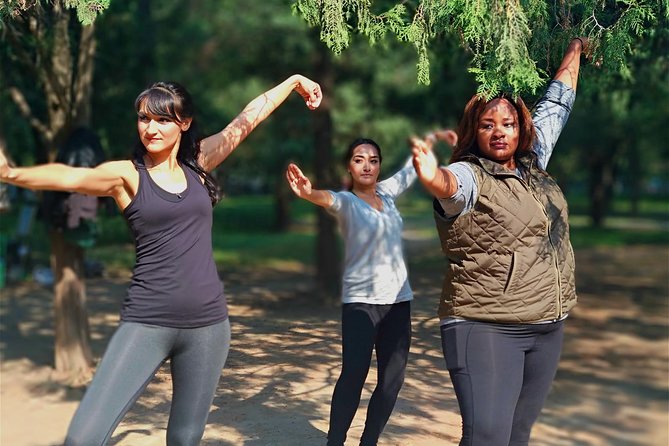 Tai Chi or Kung Fu plus Chinese Calligraphy Learning Class - Should You Book This Beijing Tai Chi or Kung Fu + Calligraphy Class?