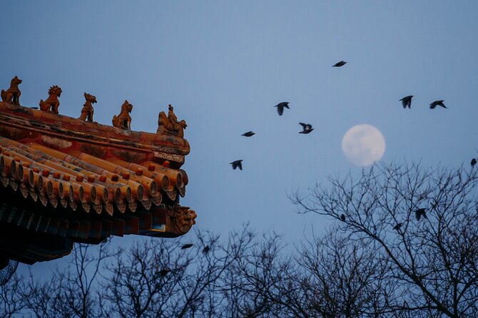 Top2 Beijing Forbidden City, Great Wall Flexible Private Tour OPT - Forbidden City: what you’ll actually see at the Palace Museum