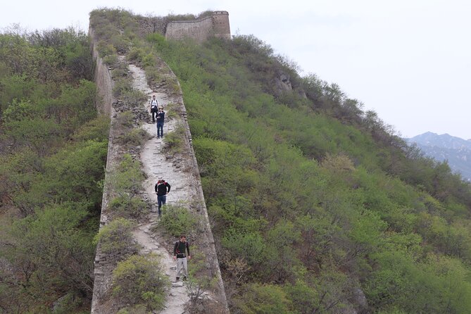 Wild Great Wall Hikes - Private tour comfort: pickup, group size, and pace