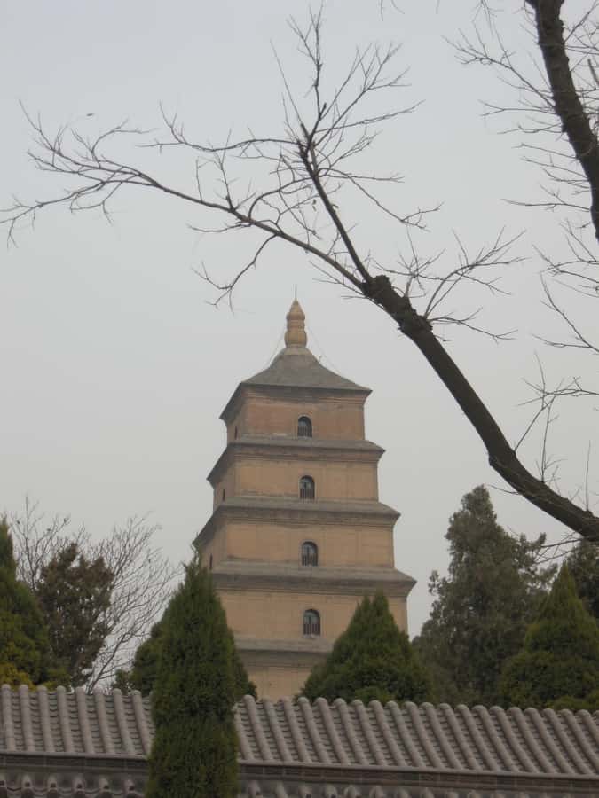 Xi'an: Terra-Cotta Warriors Entry with Optional Guide - Why the Terracotta Warriors still feel unreal